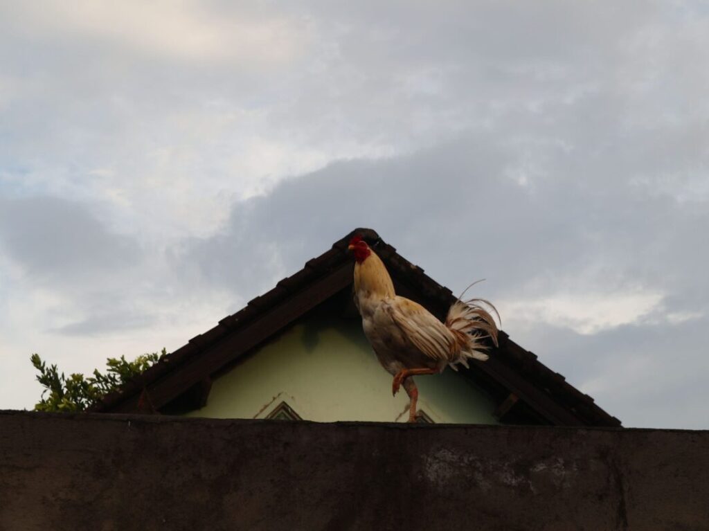Indonesien_Bali_Amed